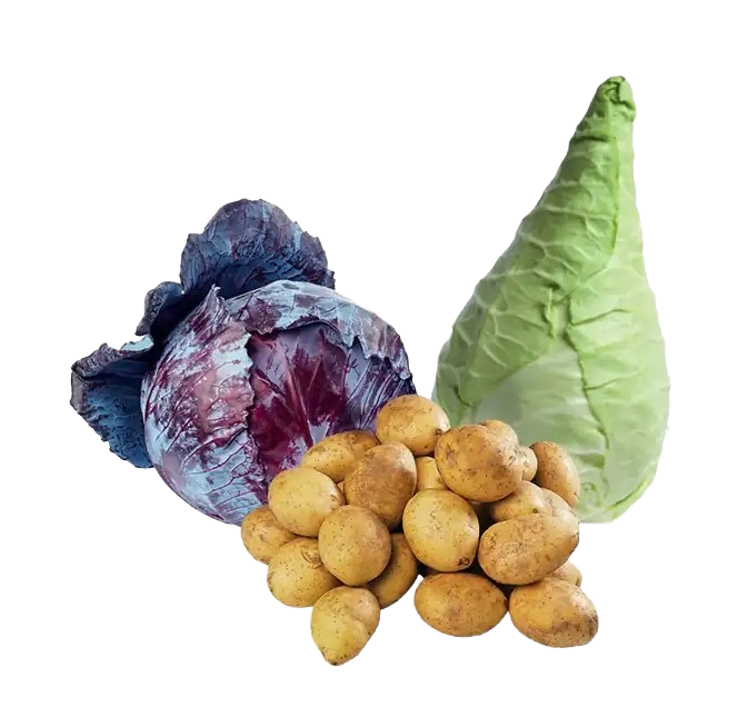 logo Spitzkraut Feldgemüse transparent